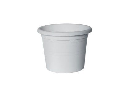 kvetinac belis bila