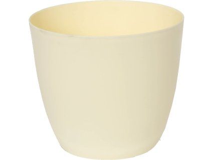 petricie kremova