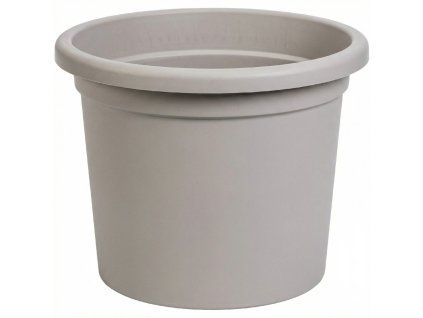 narcis taupe