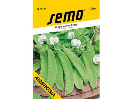 1090 semo zelenina hrach sety cukrovy ambrosia 600x893