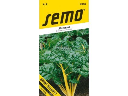 4906 semo zelenina mangold bright yellow