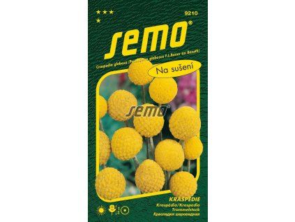 9210 semo kvetiny letnicky kraspedie billy buttons