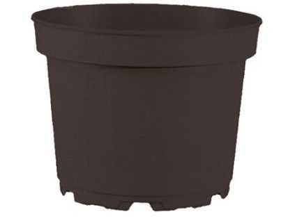kvetinac MCI