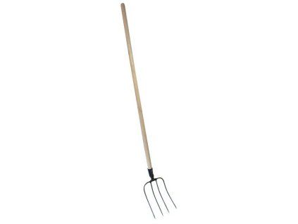 Obrázek (16385)