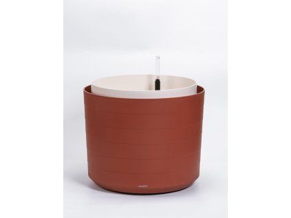 Samozavlažovací Berberis 55