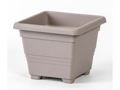 Taupe%20Begonia