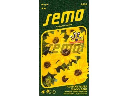 9268 semo kvetiny letnicky slunecnice slaba sunny babe 256x500