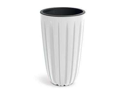 Obrázek_(1)