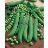 1010 semo zelenina hrach sety drenovy gloriosa2 624x772