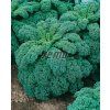 1321 semo zelenina kaderavek smes barev3 624x779
