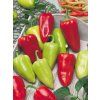 2590 semo zelenina paprika rocni slavus 2 600x800