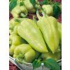 2597 semo zelenina paprika rocni slovanus 2 600x800