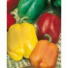 2540 semo zelenina paprika rocni smes barev zeleninova2 600x753