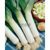 2904 semo zelenina por pravy zwitserse reuzen columbus2 624x786