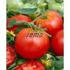 3203 semo zelenina rajce tyckove toro2 624x767