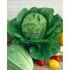 3848 semo zelenina salat rimsky globus2 624x784