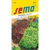 3874 semo zelenina salat listovy smes typu lolo