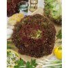3874 semo zelenina salat listovy smes typu lolo3 600x746