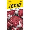 4802 semo zelenina cekanka salatova palla rossa 3