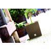 kvetinac rato low kytka2