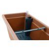 Magnolie složená