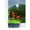 truhlik ratolla p kytka1