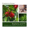 Svíčka Bayberry and Fir