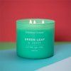 Svíčka se sójovým voskem Green Leaf Hemp - 411g