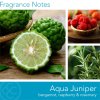 Svíčka Aqua Juniper