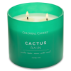 Vonná svíčka Cactus Rain - přírodní