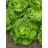3831 semo zelenina salat hlavkovy merkurion2 624x832