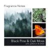 Black Pine & Moss
