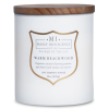 Vonná svíčka Warm Beachwood - 425g