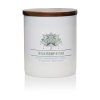 Vonná svíčka Wild Hemp & Oak - 453g