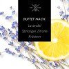 Vonné tyčinky Lemon Lavender