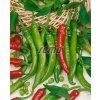 2516 semo zelenina paprika rocni palivec2 624x774