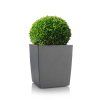 Eliot stone 25x25 stone gray with flower