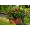 Samozavlažovací truhlík BERBERIS DUO 78x39x35 terakota