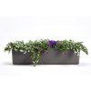 Samozavlažovací truhlík BERBERIS 80 cm antracit + slonová kost