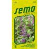 5904 bazalka%20CINAMONETTE