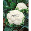 1863 semo zelenina kvetak snow lady2 624x758